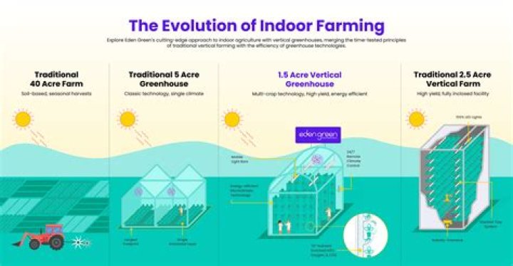 Ballerina Farm: The Times of a Unique Farming Experience