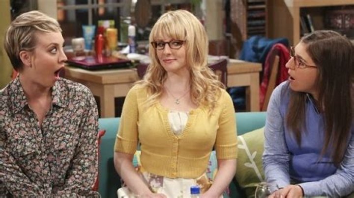 Bernadette Rostenkowski-Wolowitz: The Heart and Humor of The Big Bang Theory
