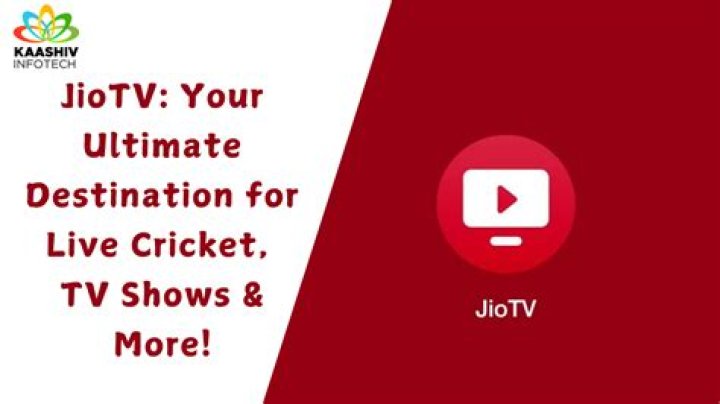 Bolly4You.com: The Ultimate Destination for Bollywood Enthusiasts