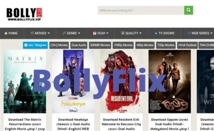 Bollyflix Date: Everything You Need to Know About This Trending Platform