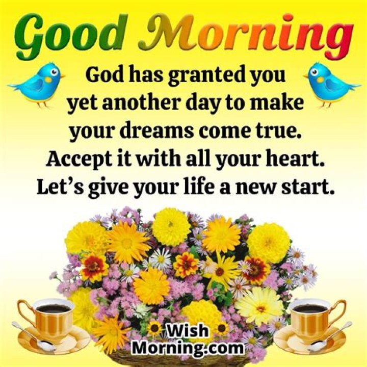 Buenos Dias GIF: The Perfect Way to Brighten Your Morning Greetings