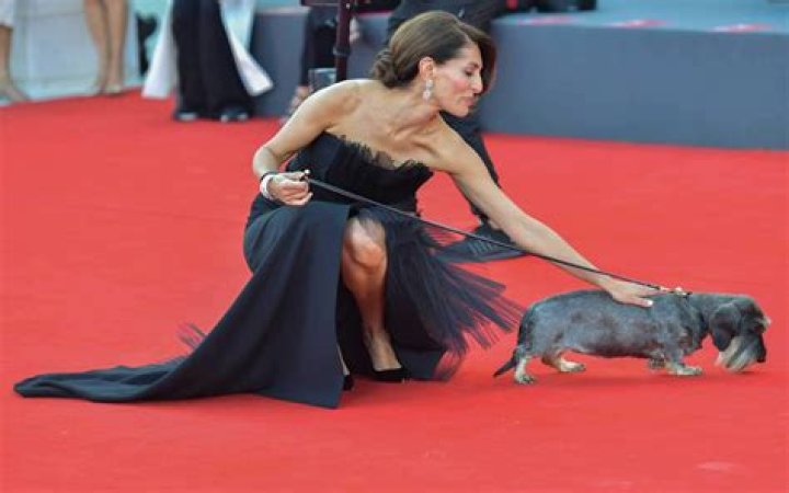 Caterina Murino: A Comprehensive Look at the Life and Career of the Italian Actress