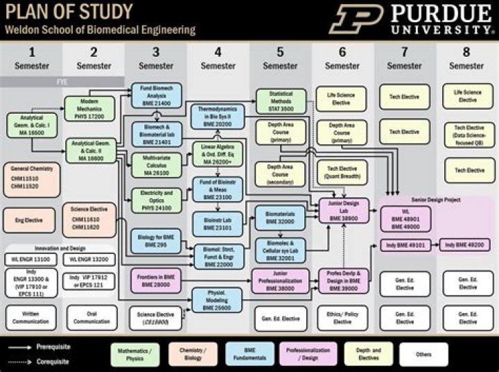Complete Guide to Purdue for Parents of Edey Students