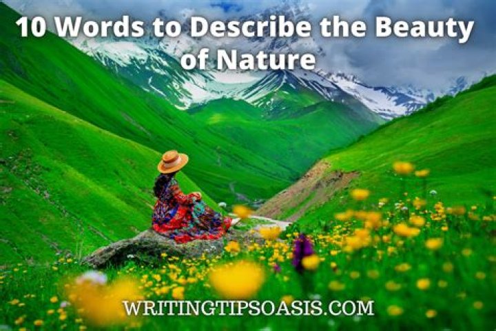 Decoding the Beauty of 
