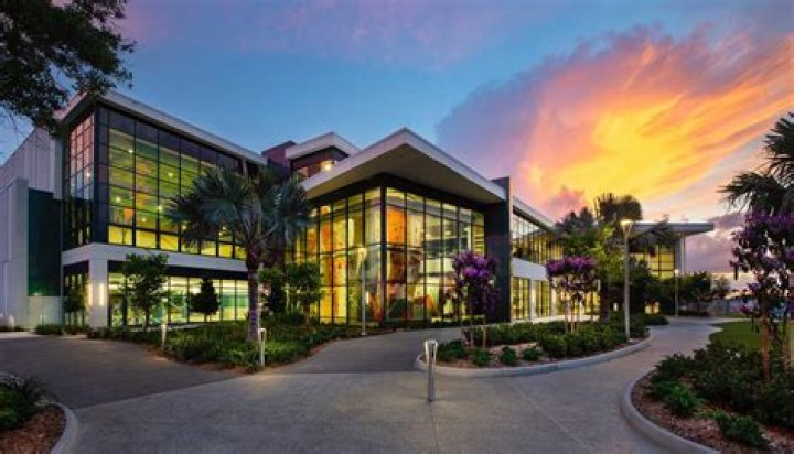 Discovering the Vibrant Oasis of Chroma Lake Nona