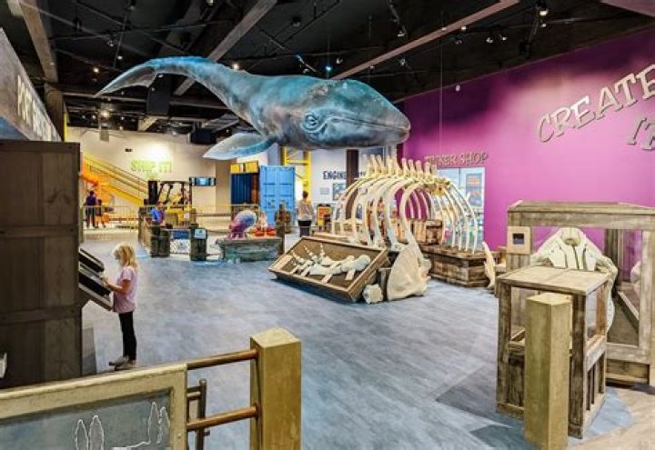 Discovering the Wonders of the Children's Museum of Maine