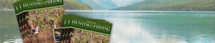 Dove Season GA 2024-2025: A Comprehensive Guide for Enthusiasts