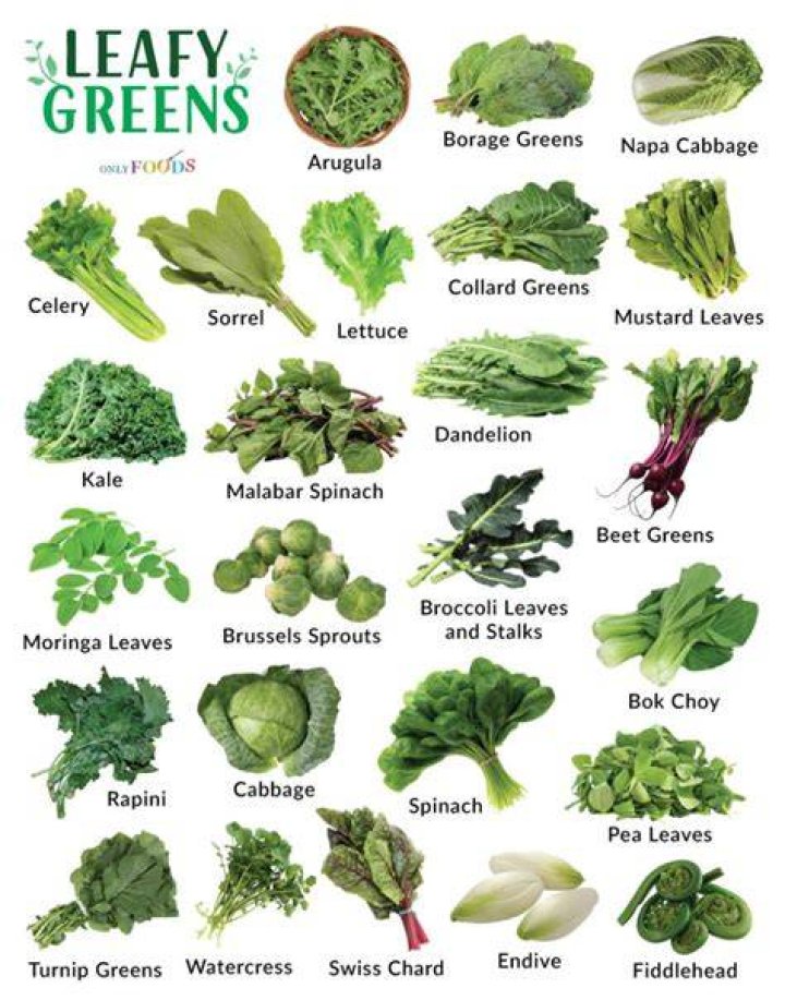 Everything You Need to Know About Kang Kong: A Versatile and Nutritious Leafy Green