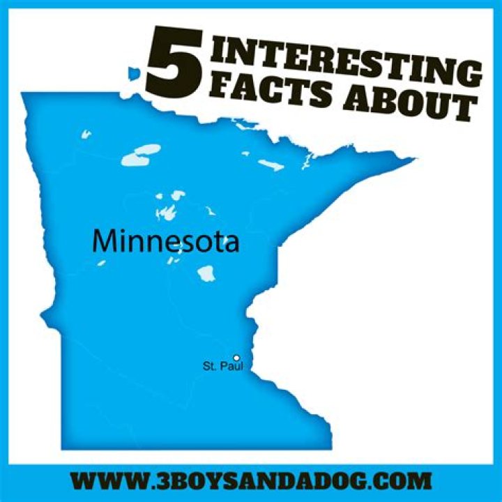 Everything You Need to Know About Minnesota Twins: A Comprehensive Guide