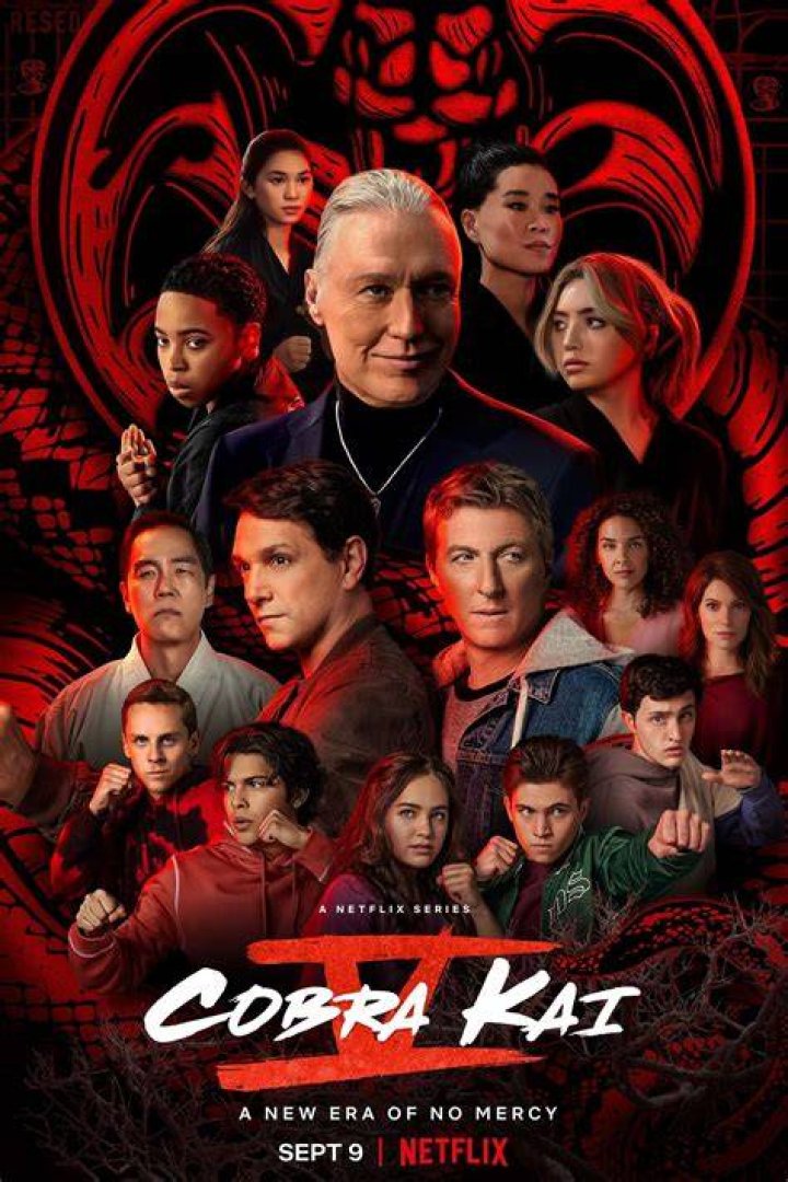Explore the Fighting Spirit of Tory Nichols: The Cobra Kai Cast