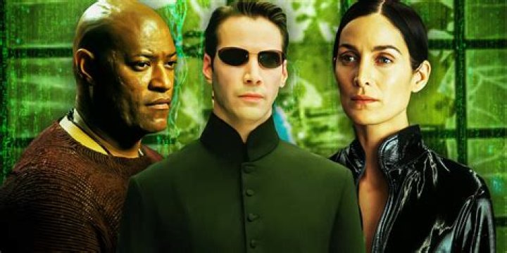 Exploring the Dynamic Cast of 