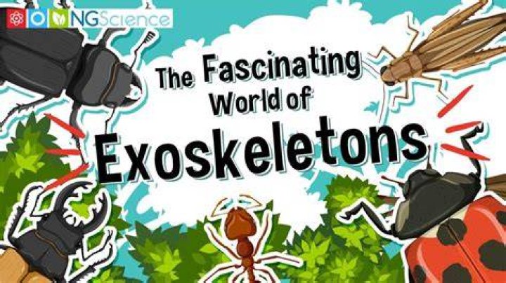 Exploring the Exclamation: The Fascinating World of 