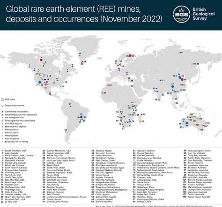 Exploring the Fascinating World of Ree: An In-Depth Guide