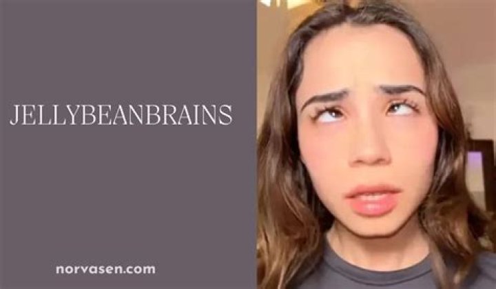 Exploring the World of Jellybeanbrains Fans: A Deep Dive
