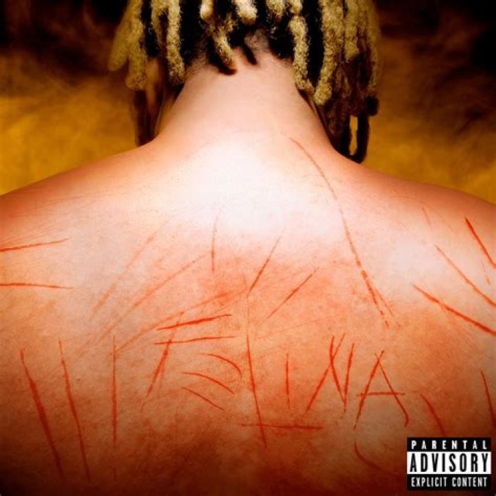 Felina WIU Lyrics English: An In-Depth Exploration