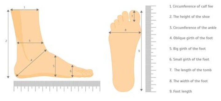 Get the Exact Height of Gavi: Measurements in Feet