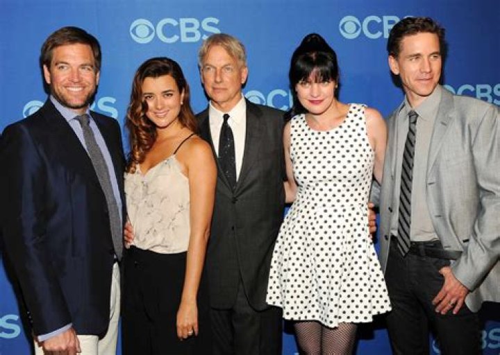 Introducing the Cast of the Beloved TV Show 