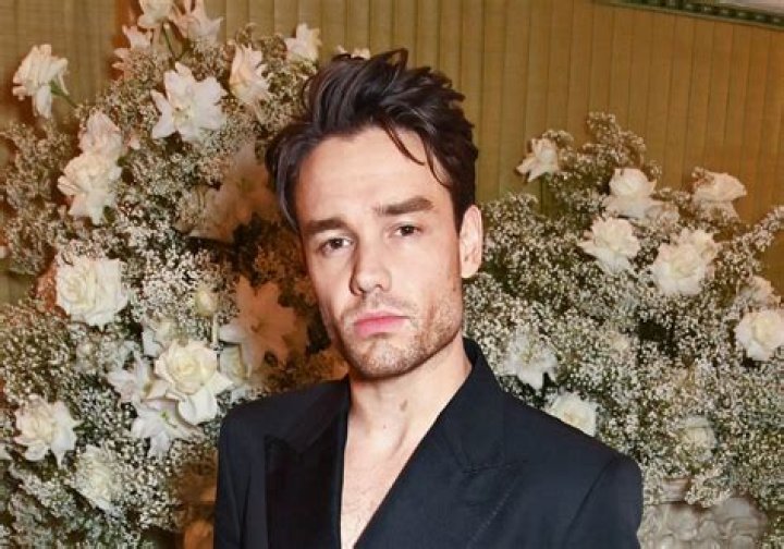 Is Liam Payne Going on Tour? Everything You Need to Know