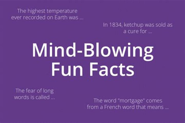 Kevin Cronin's Age: Insights and Interesting Facts