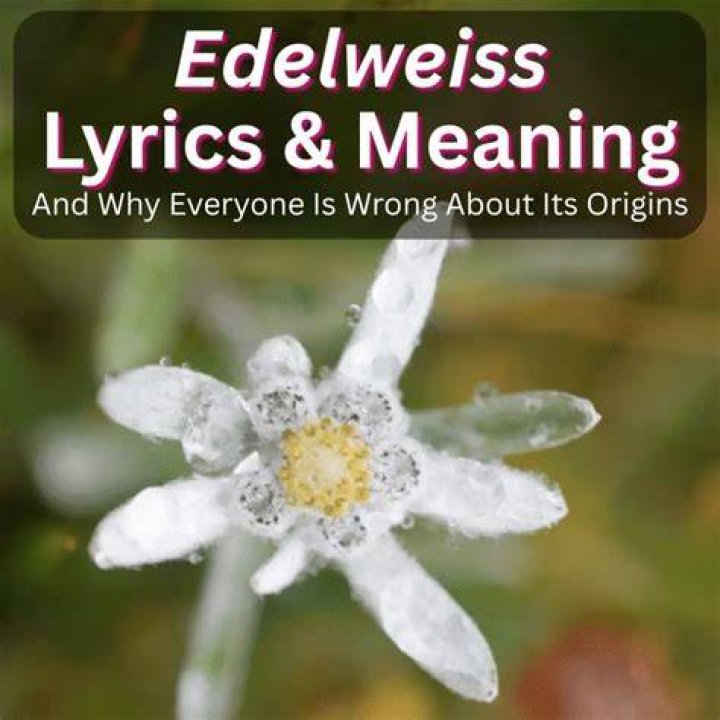 Let It Be Me: A Deep Dive into the Lyrics and Meaning