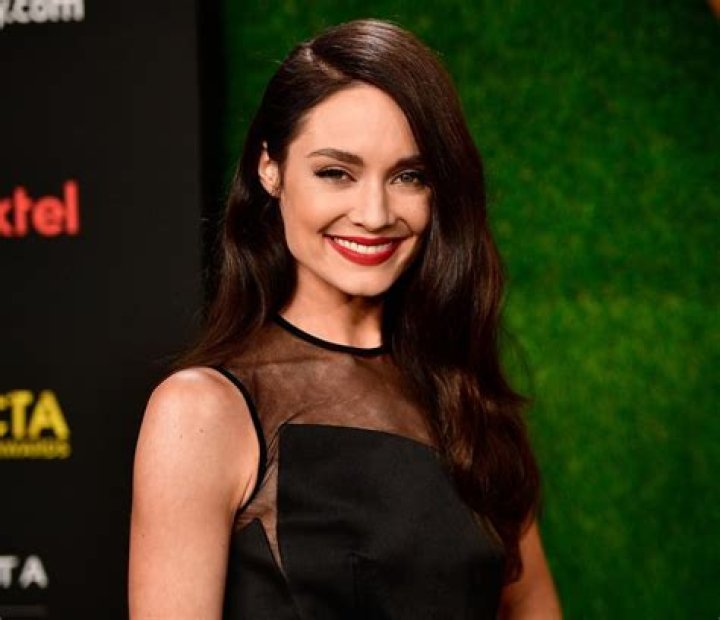 Mallory Jansen: The Rising Star of Television