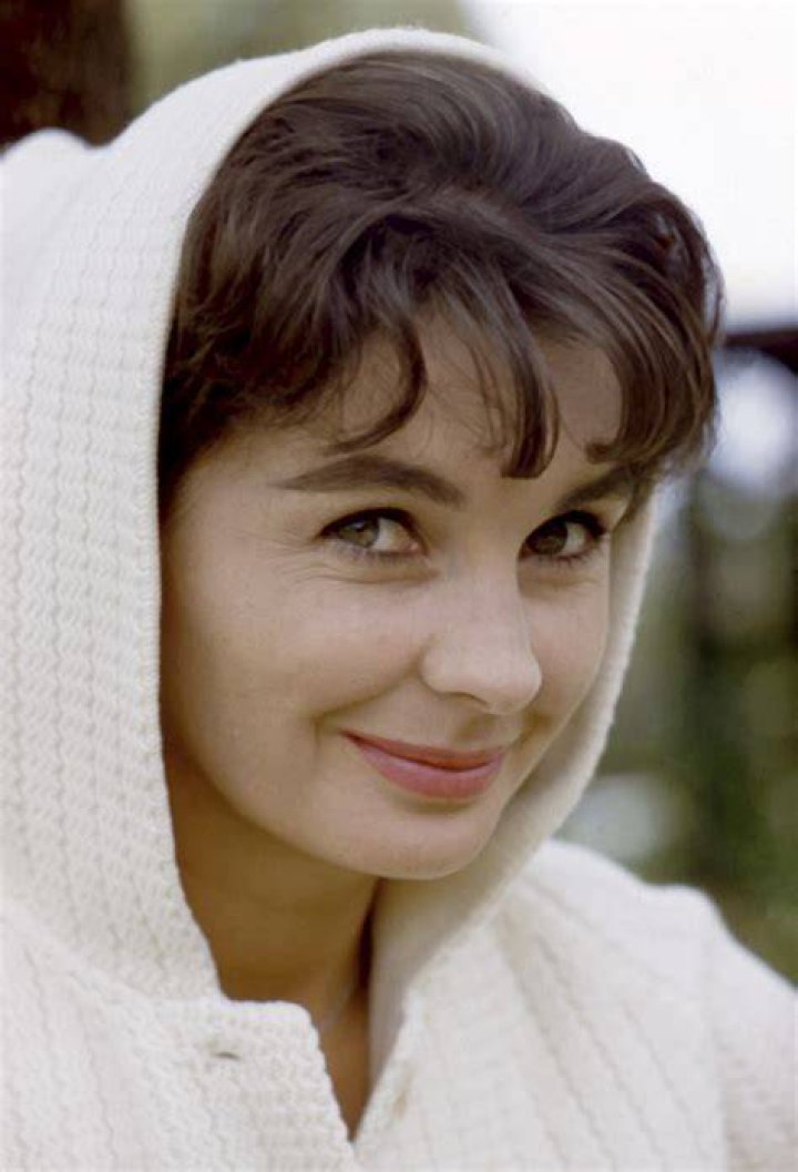 Marlena Haddad: A Deep Dive into Her Life and Career