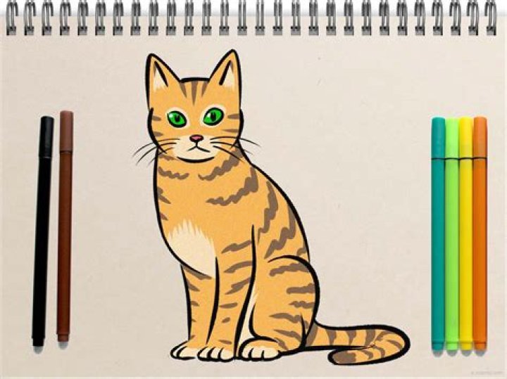 Mastering the Art of Cat Sketch: Tips, Techniques, and Inspiration