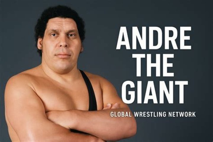 Meet The Giant: The Incredible Story of Andre the Giant in WWE