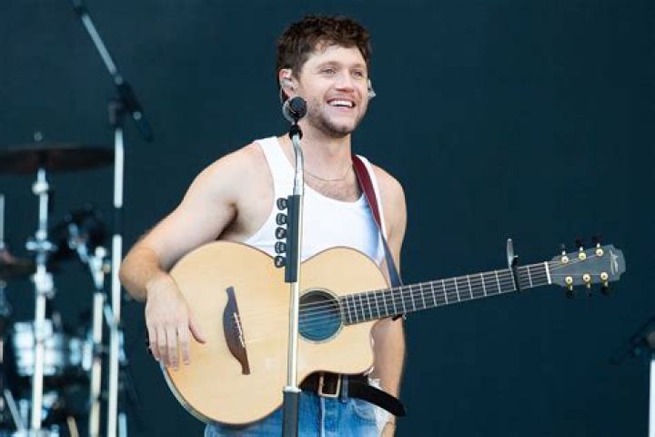 Must-Know Facts About Niall Horan from One Direction