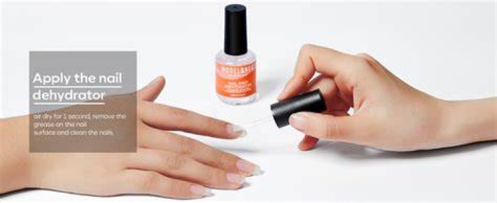 Nail Dehydrator and Primer: The Ultimate Guide to Perfect Nails
