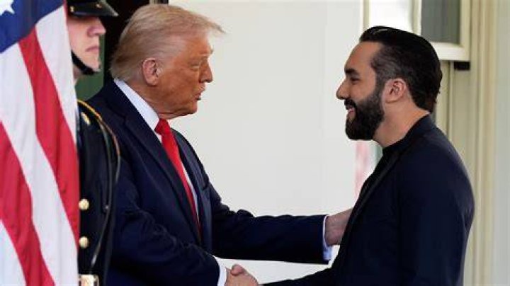 Nayib Bukele Estatura: Unveiling the Height of El Salvador's President