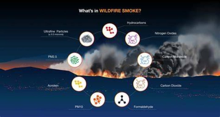 Nixon Fire California: Understanding the Devastating Wildfire and Its Impact