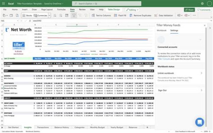 Nopalera's Financial Future: Net Worth 2024 Predictions