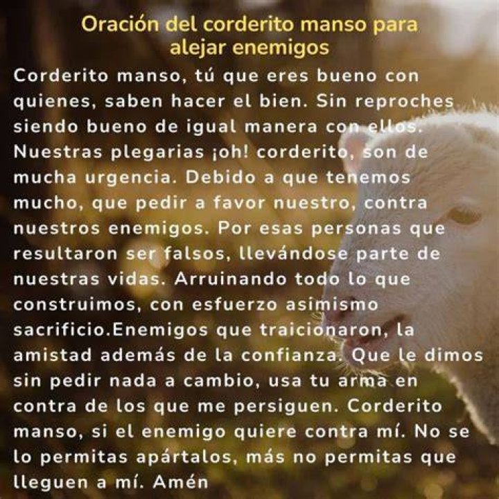 Oración Corderito Manso: A Deep Dive into Its Significance and Practice