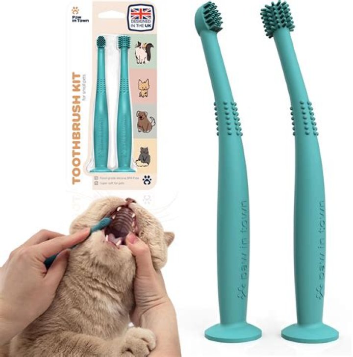 Revolutionizing Cat Dental Care: The Taurus Training Toothbrush for Cats