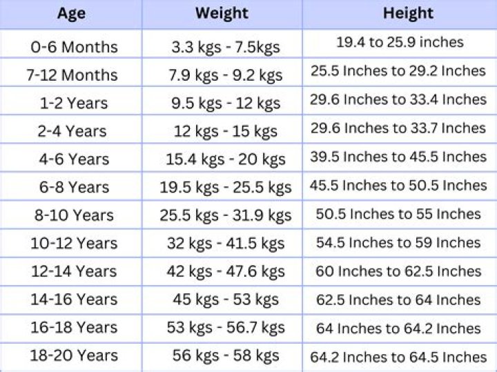 Ryan Gosling Height and Weight: All You Need to Know