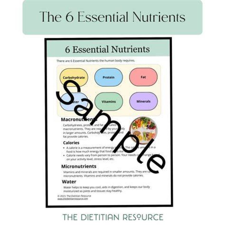 The Comprehensive Guide to AG1 Ingredients: Unlocking the Power of Essential Nutrients