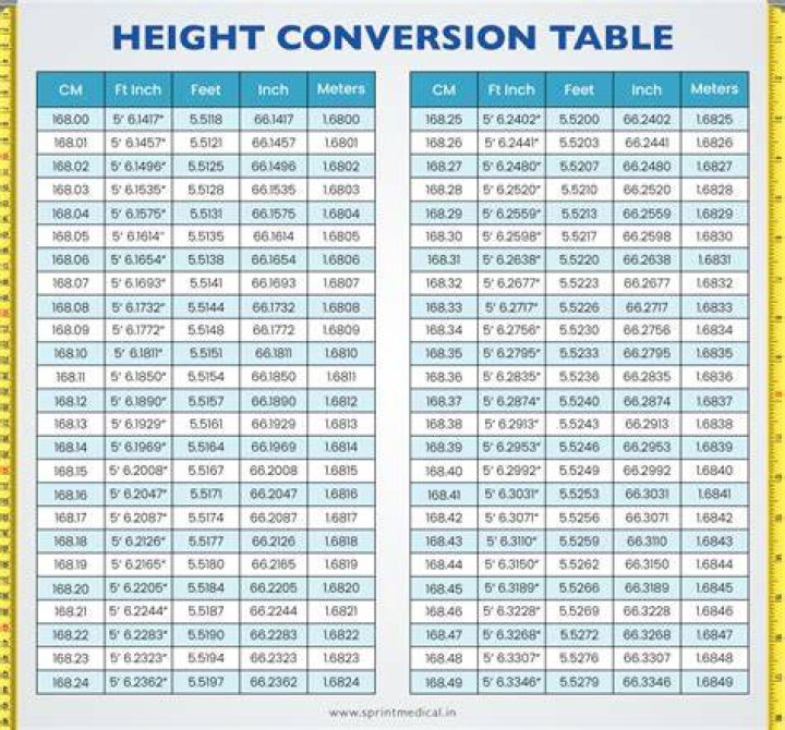 The Comprehensive Guide to Rob Dyrdek's Stature and Weight