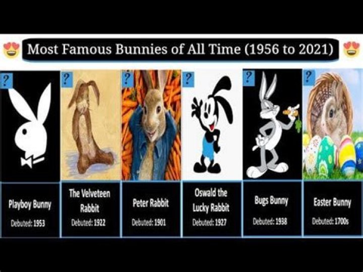 The Notorious History of Playboy's Most Famous Bunnies