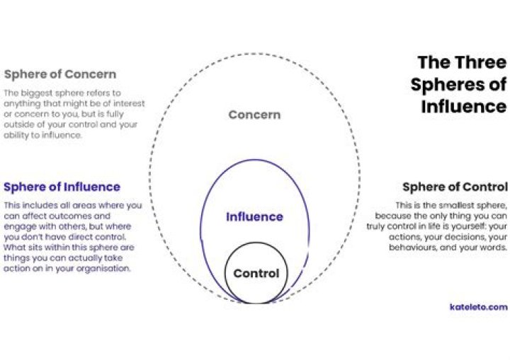 The Power of Fans: Understanding Their Impact and Influence