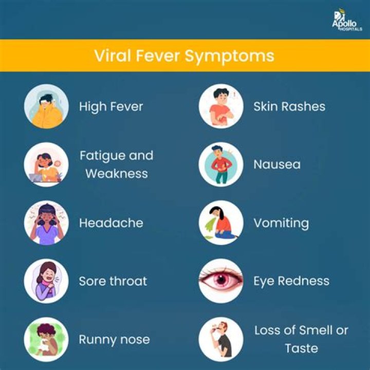 The Rise of Viral Videos: Understanding the Phenomenon