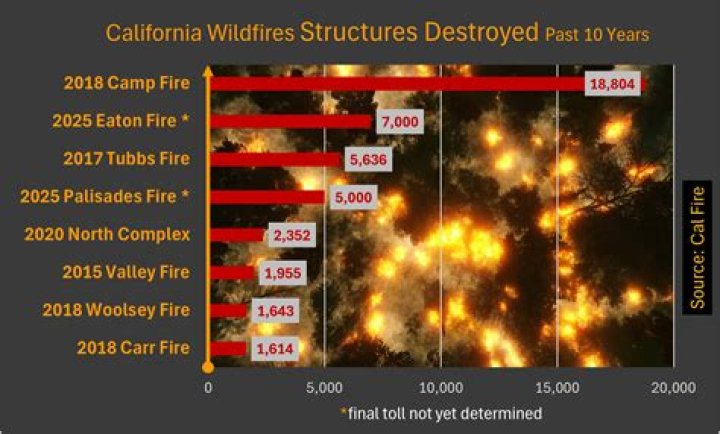 The Roads of Flames Are Catching on Fire: Understanding Wildfires and Their Impact