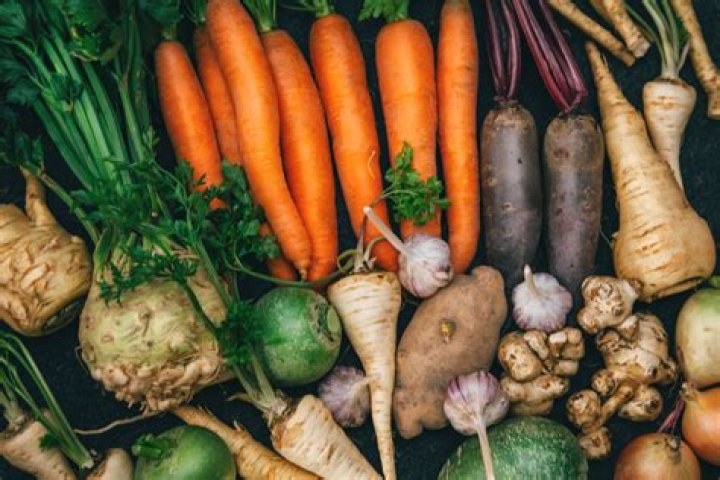 The Ultimate Guide to Veges: Benefits, Types, and Cooking Tips