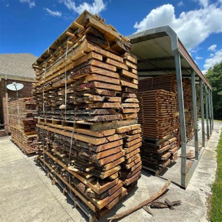 The Versatility and Importance of Wood in Our Lives