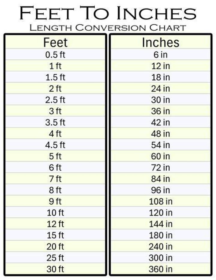 Understanding 4'11 in Inches: A Comprehensive Guide
