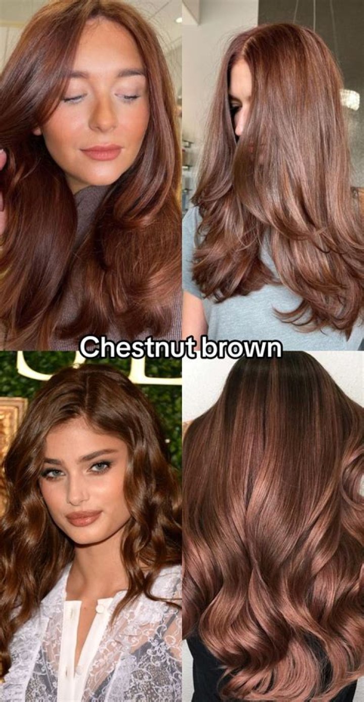 Understanding Brown Titties: A Comprehensive Guide