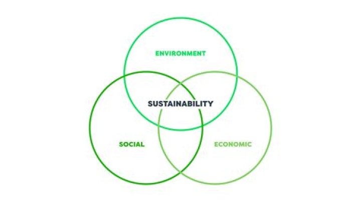 Understanding ES 2.0: The Future of Environmental Sustainability
