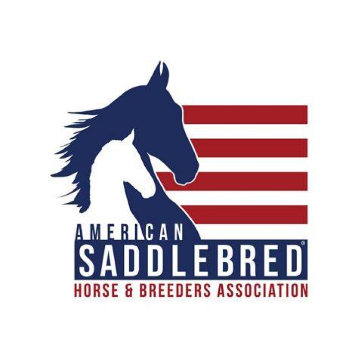 Understanding the American Saddlebred Horse Association: History, Importance, and Influence