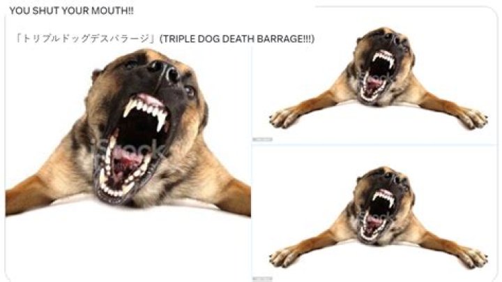 Understanding the Triple Dog Death Barrage: An In-Depth Analysis