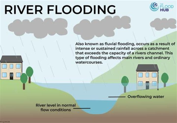 Understanding Urban Flooding: The Insights of Darcy Andrews